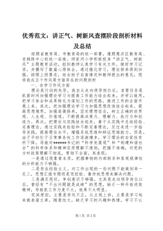 优秀范文：讲正气、树新风查摆阶段剖析材料及总结