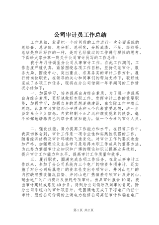 公司审计员工作总结