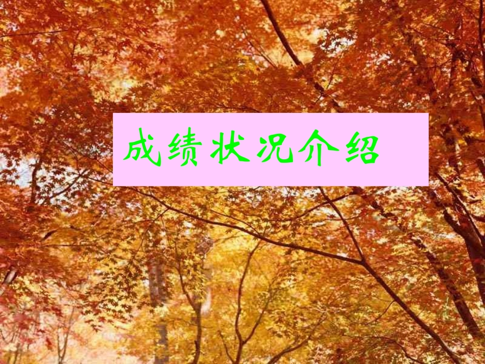 704班月考成绩分析会课件__主题班会_第3页