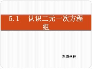51认识二元一次方程组
