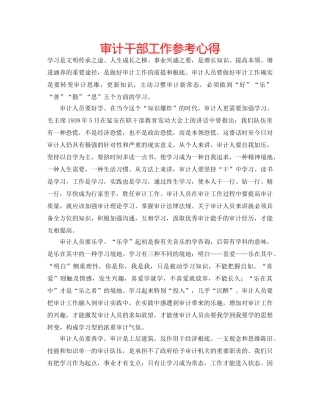 审计干部工作参考心得 