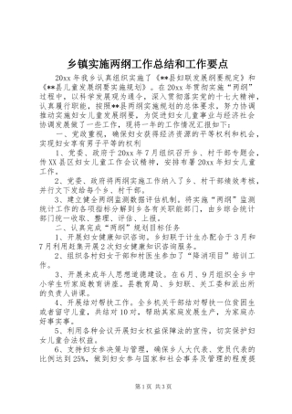 乡镇实施两纲工作总结和工作要点