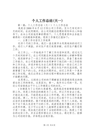 个人工作总结(天一)