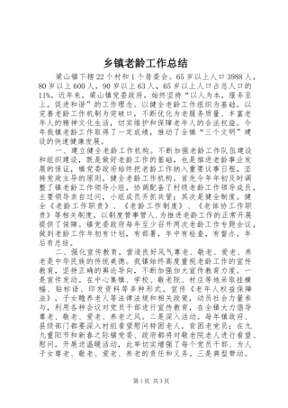 乡镇老龄工作总结 (10)