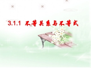 311不等关系与不等式(1)