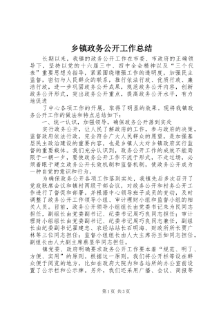 乡镇政务公开工作总结 (13)