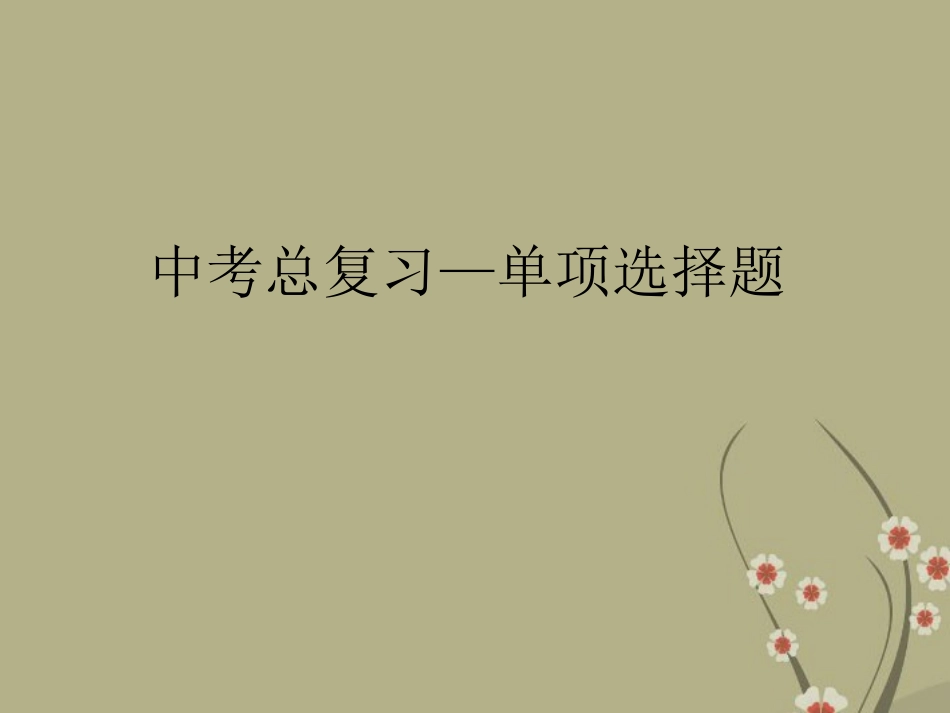 中考单选课件_第1页