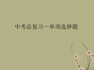 中考单选课件