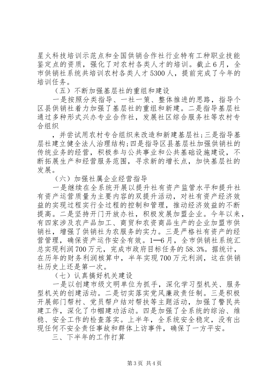 上半年供销社经济情况总结_第3页