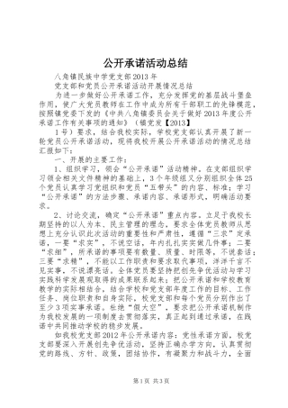 公开承诺活动总结