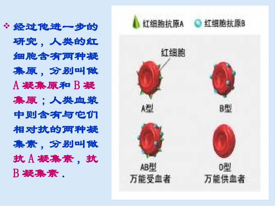 输血与血型课件_第3页