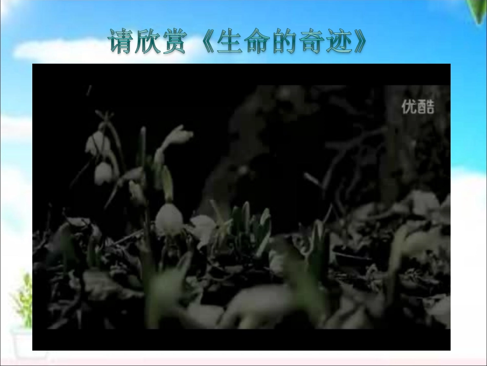 19_生命_生命_第2页