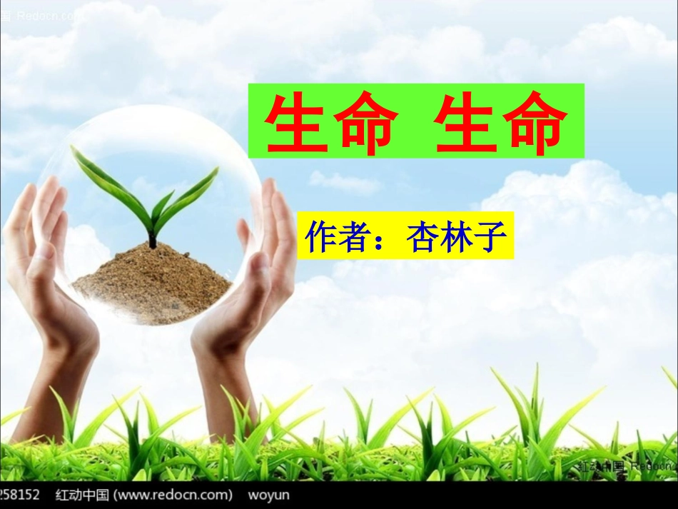19_生命_生命_第3页