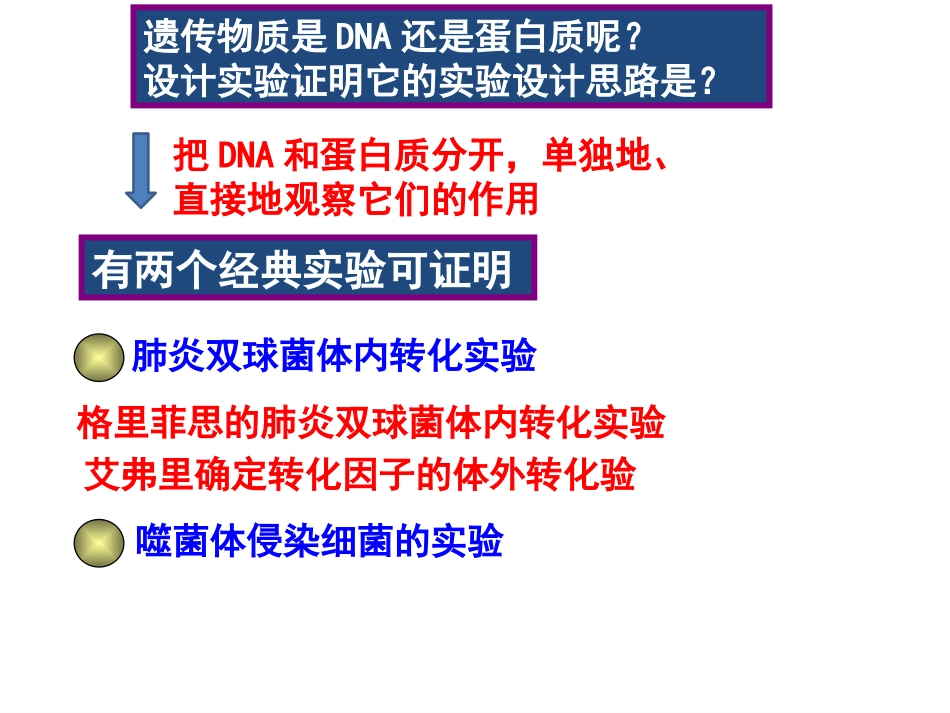 31DNA是主要的遗传物质_第3页