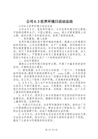 公司6.5世界环境日活动总结