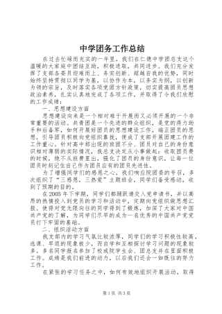 中学团务工作总结