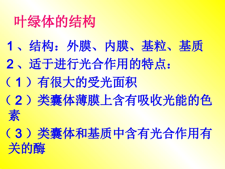 绿叶中的色素_第2页
