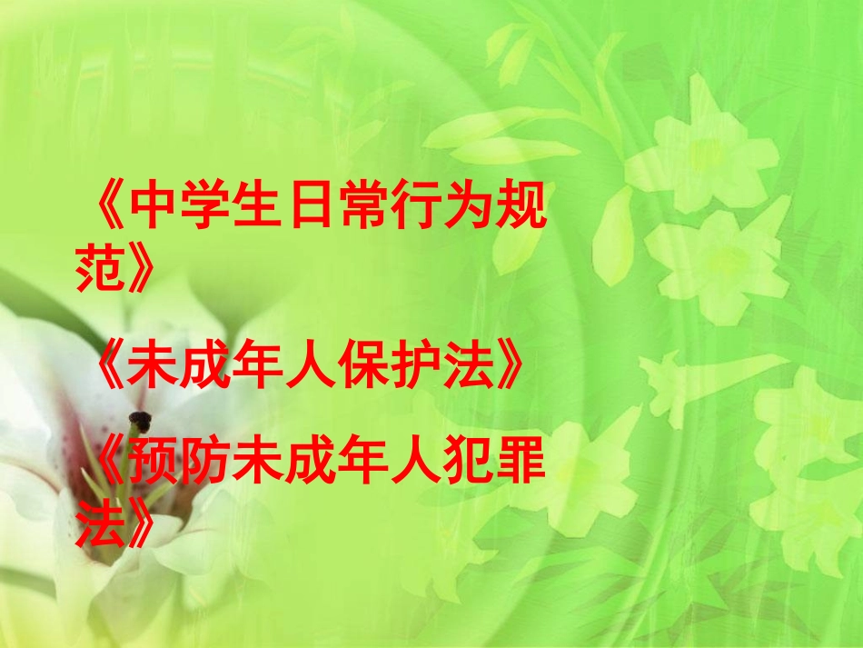 法制教育课课件_第3页