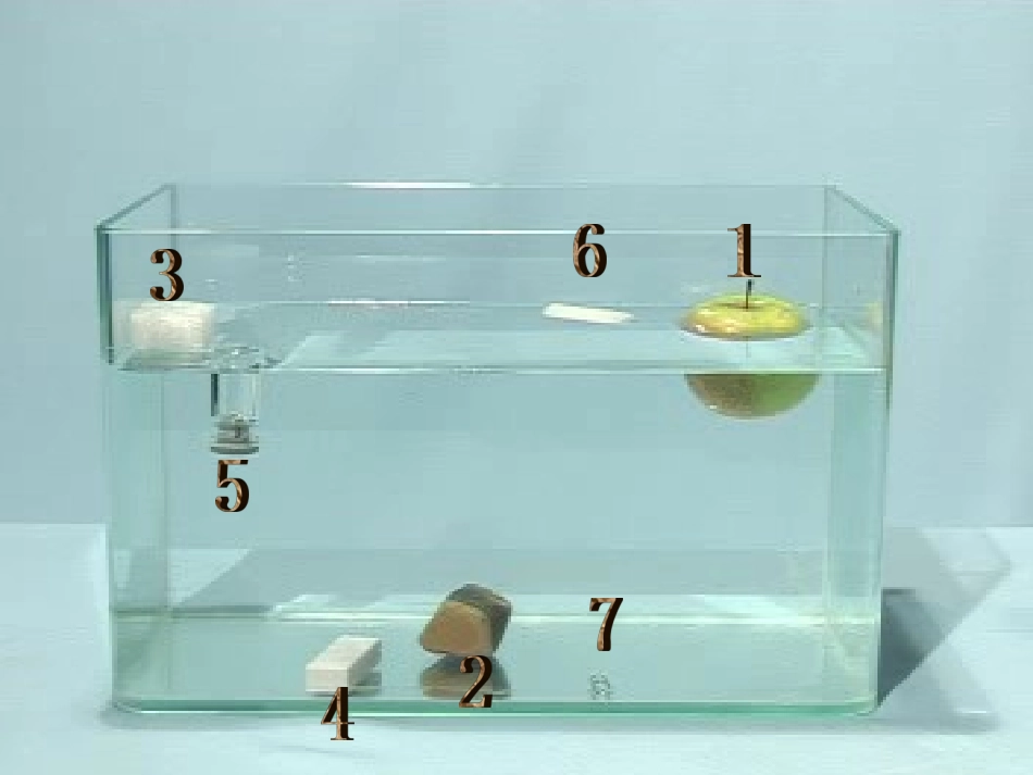 2沉浮与什么因素有关J_第3页