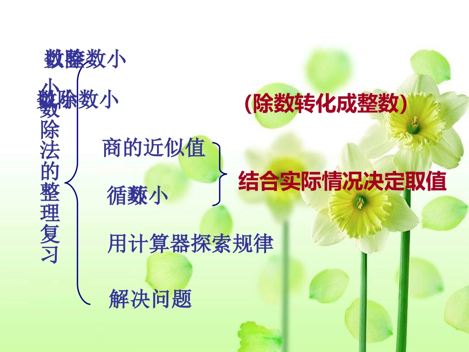 小数除法复习_第2页