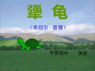 《犟龟》课件