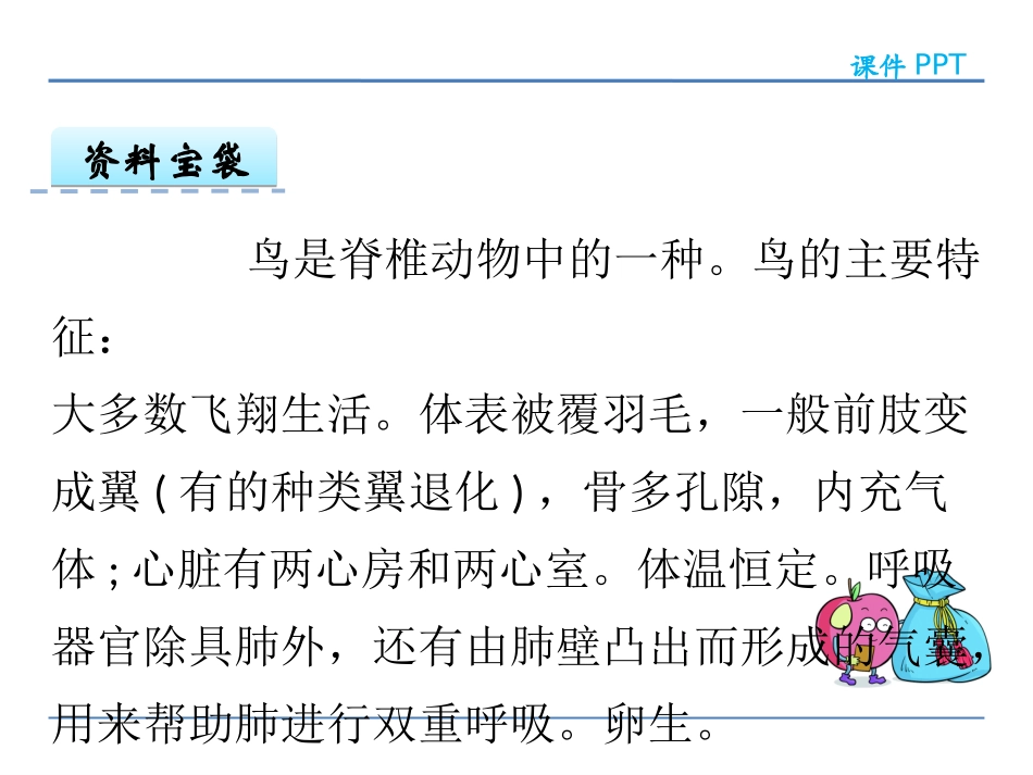 5阳台上的小鸟_第3页