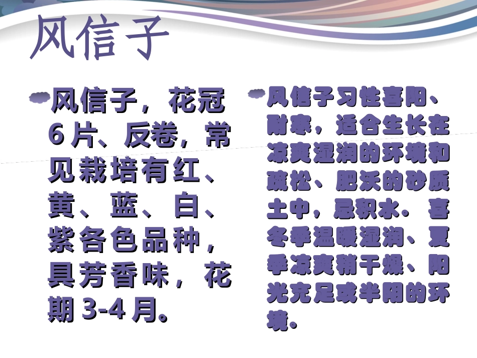 第一次养植物5_第3页