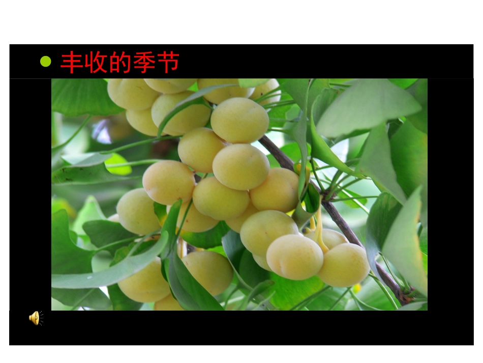 《秋天到》课件_第2页