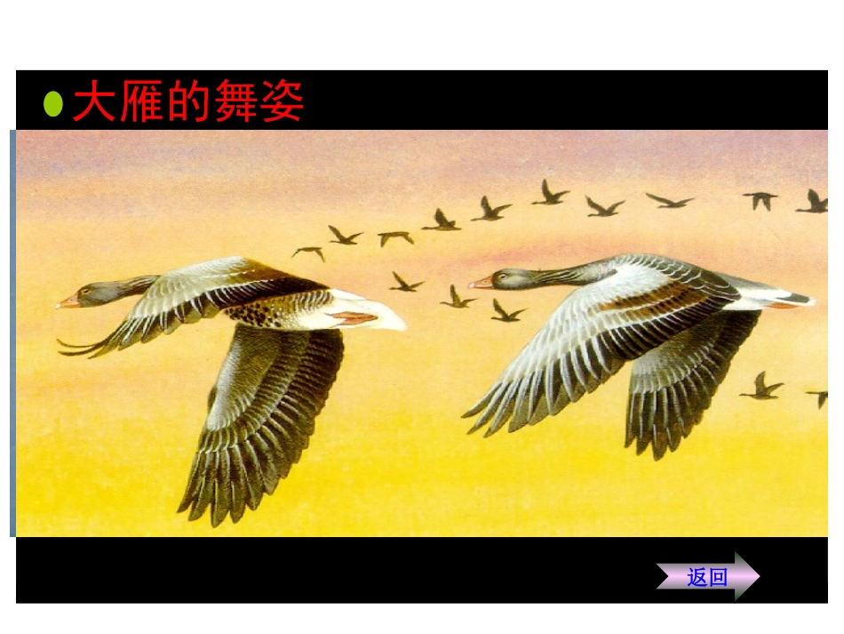 《秋天到》课件_第3页