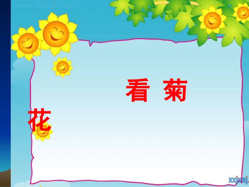 8看菊花课件_第1页