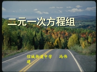 二元一次方程组