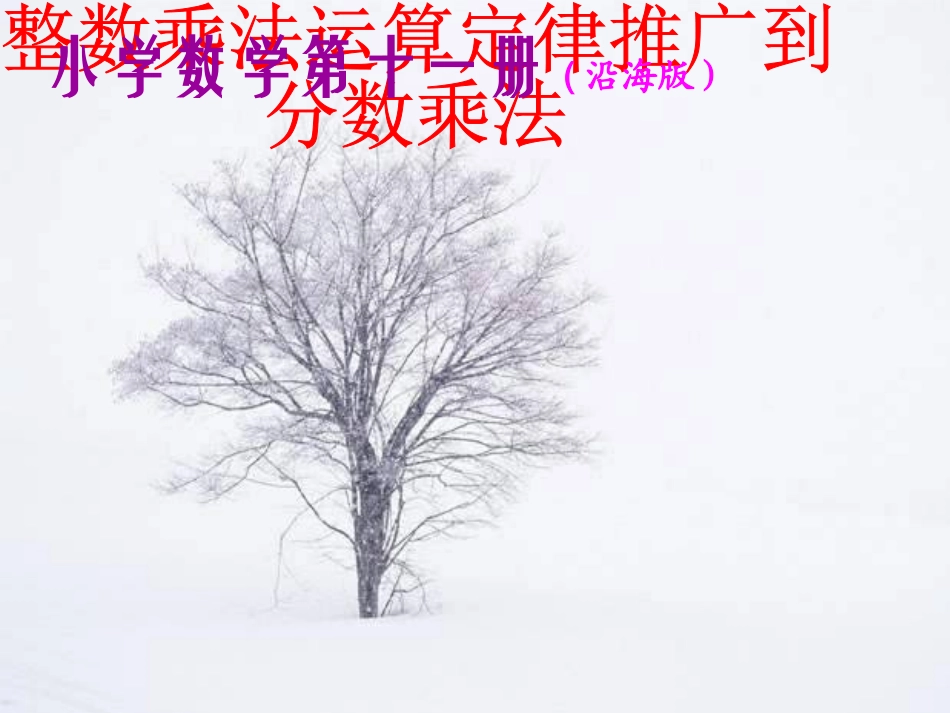 整数的运算定律_第1页