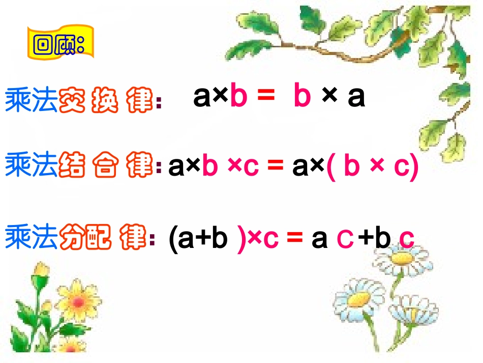 整数的运算定律_第3页