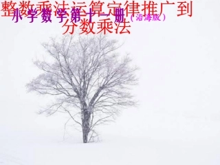 整数的运算定律