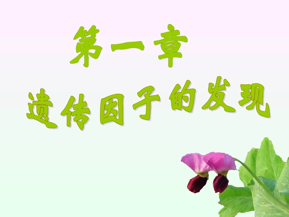 第一章第一节孟德尔的豌豆杂交实验(一)_第1页
