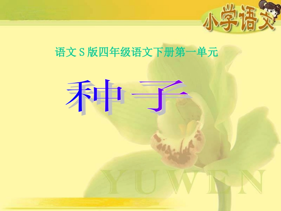 1、《种子》_第1页