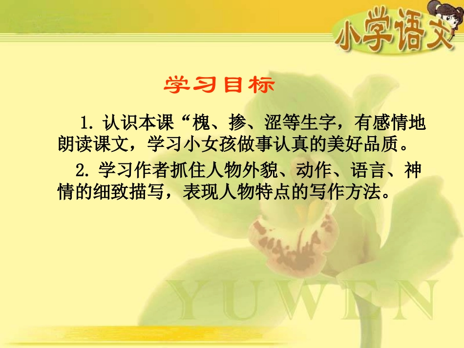 1、《种子》_第2页