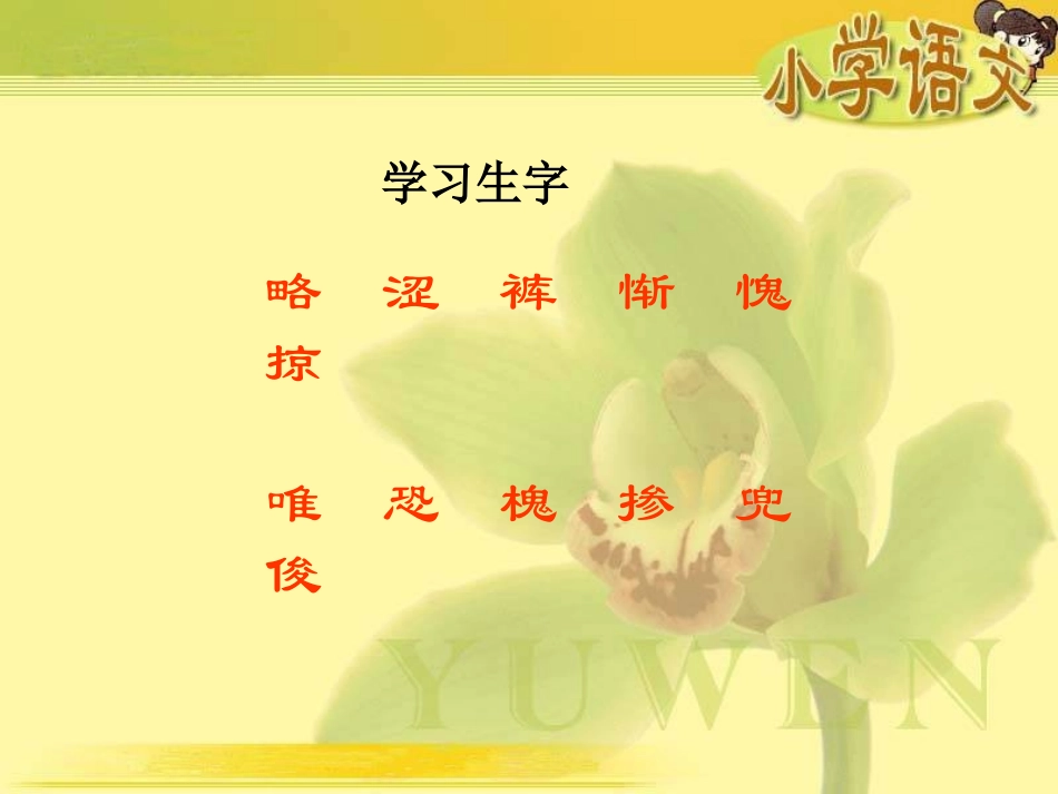 1、《种子》_第3页