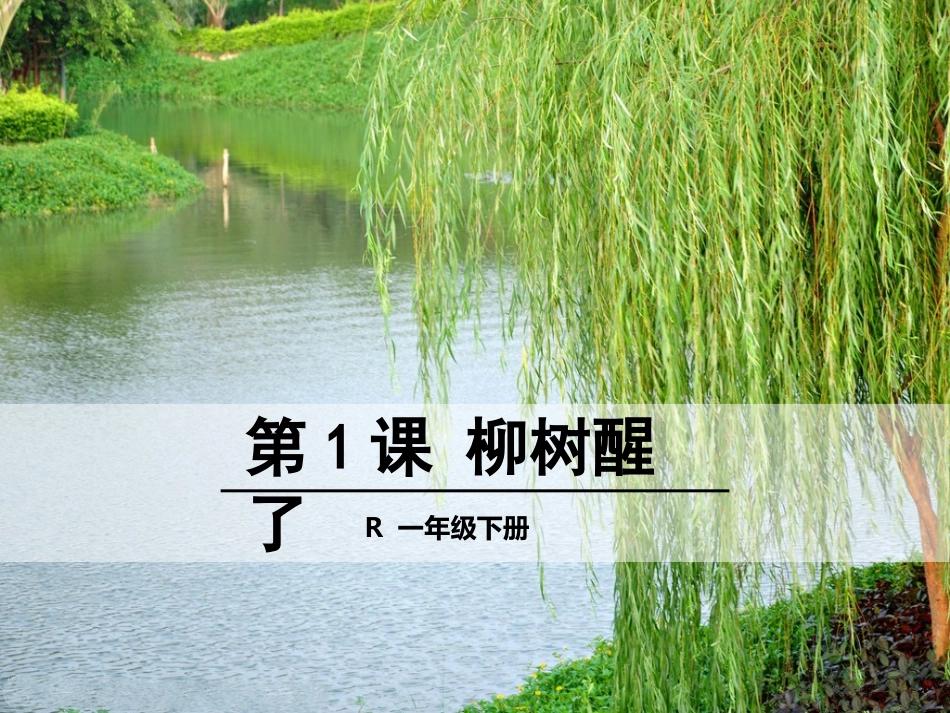 1柳树醒了2_第1页