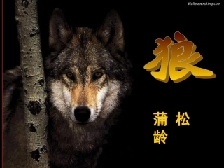 蒲松龄《狼》