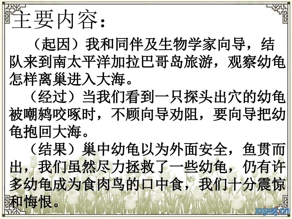 9自然之道 (5)_第3页