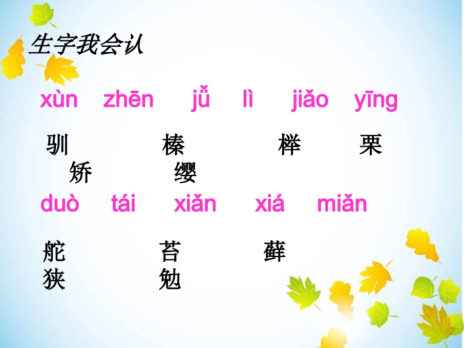 1人教版小学语文五年级上册10《松鼠》_第3页