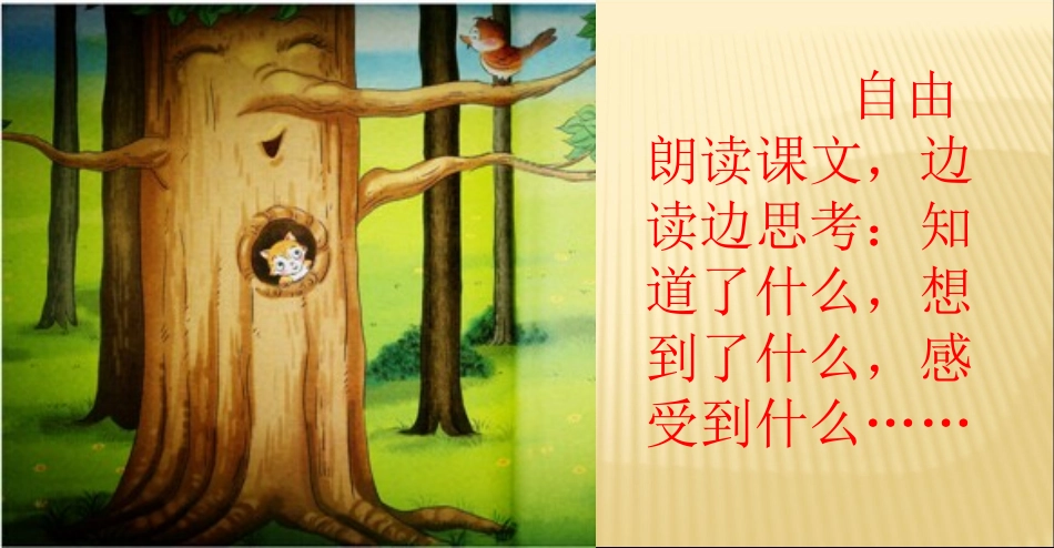 去年的树 (5)_第2页