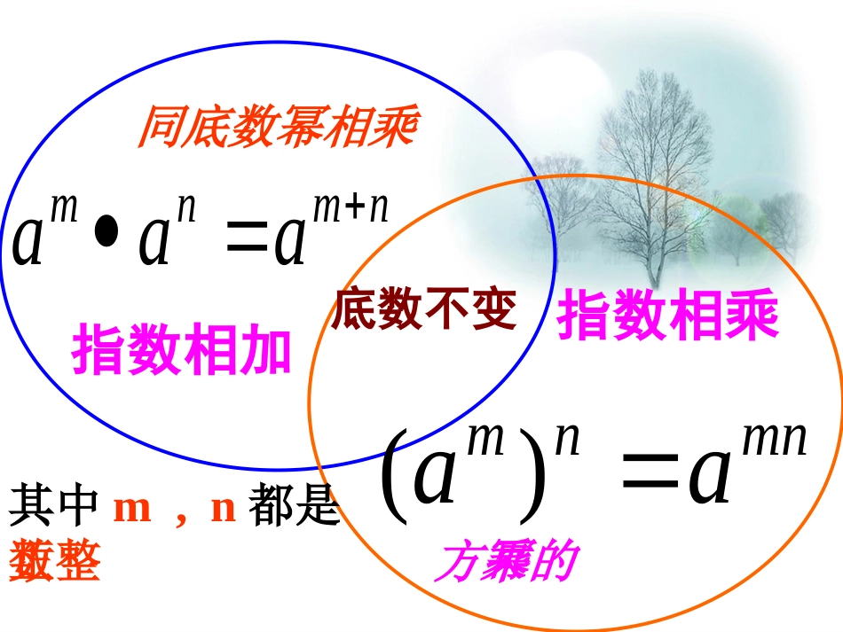 整式的乘法复习_第3页