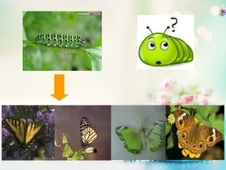 长大的感觉课件