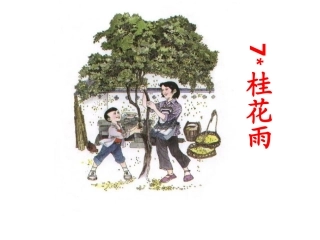 五年级桂花雨