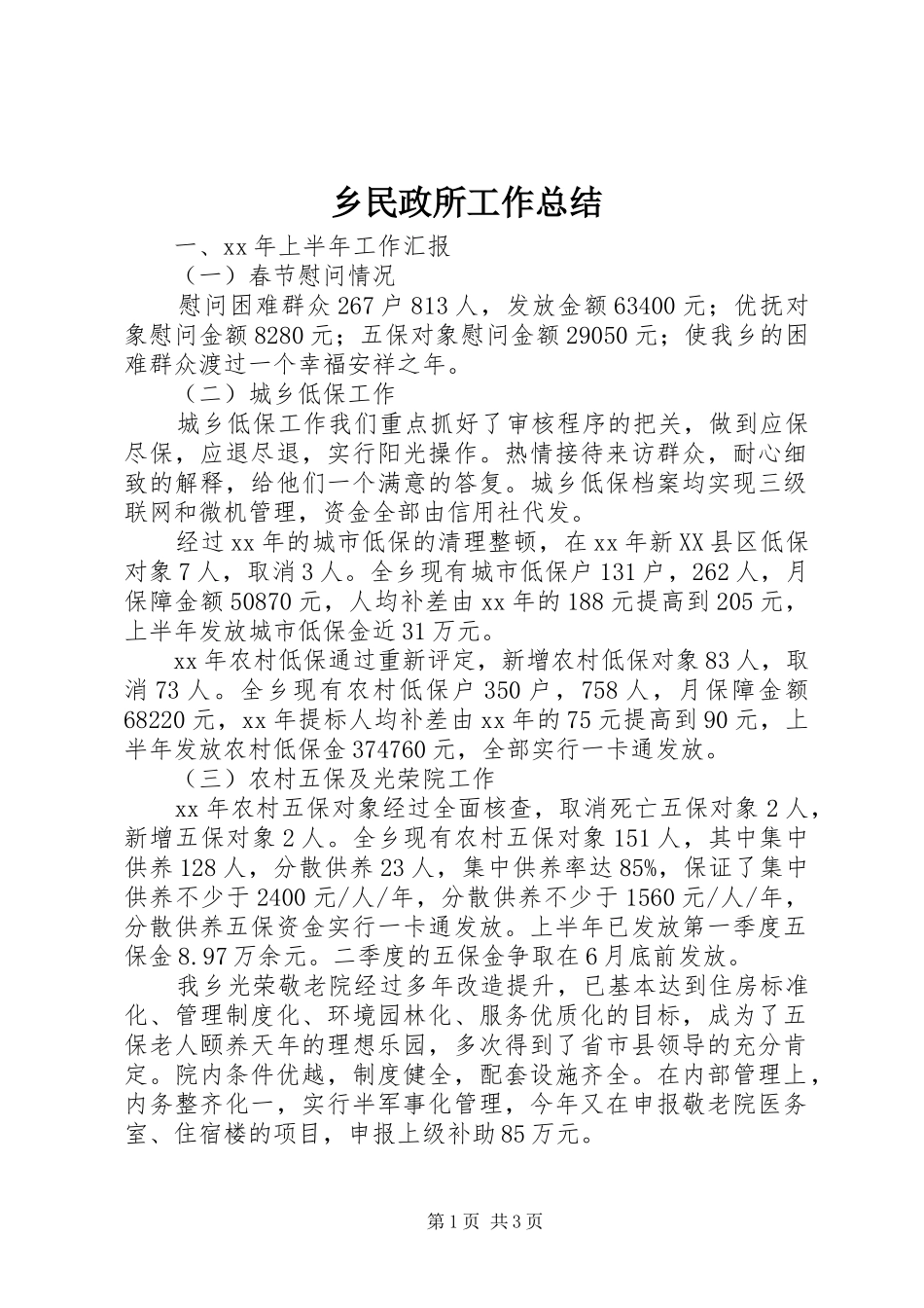 乡民政所工作总结_第1页