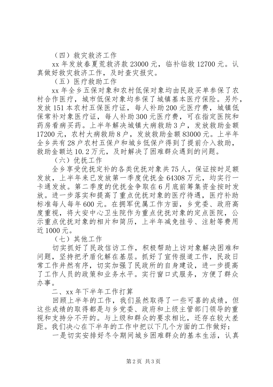 乡民政所工作总结_第2页