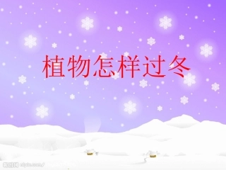 植物怎样过冬