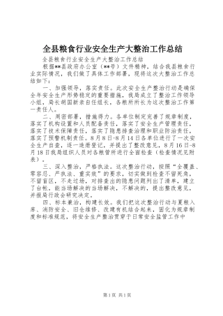 全县粮食行业安全生产大整治工作总结